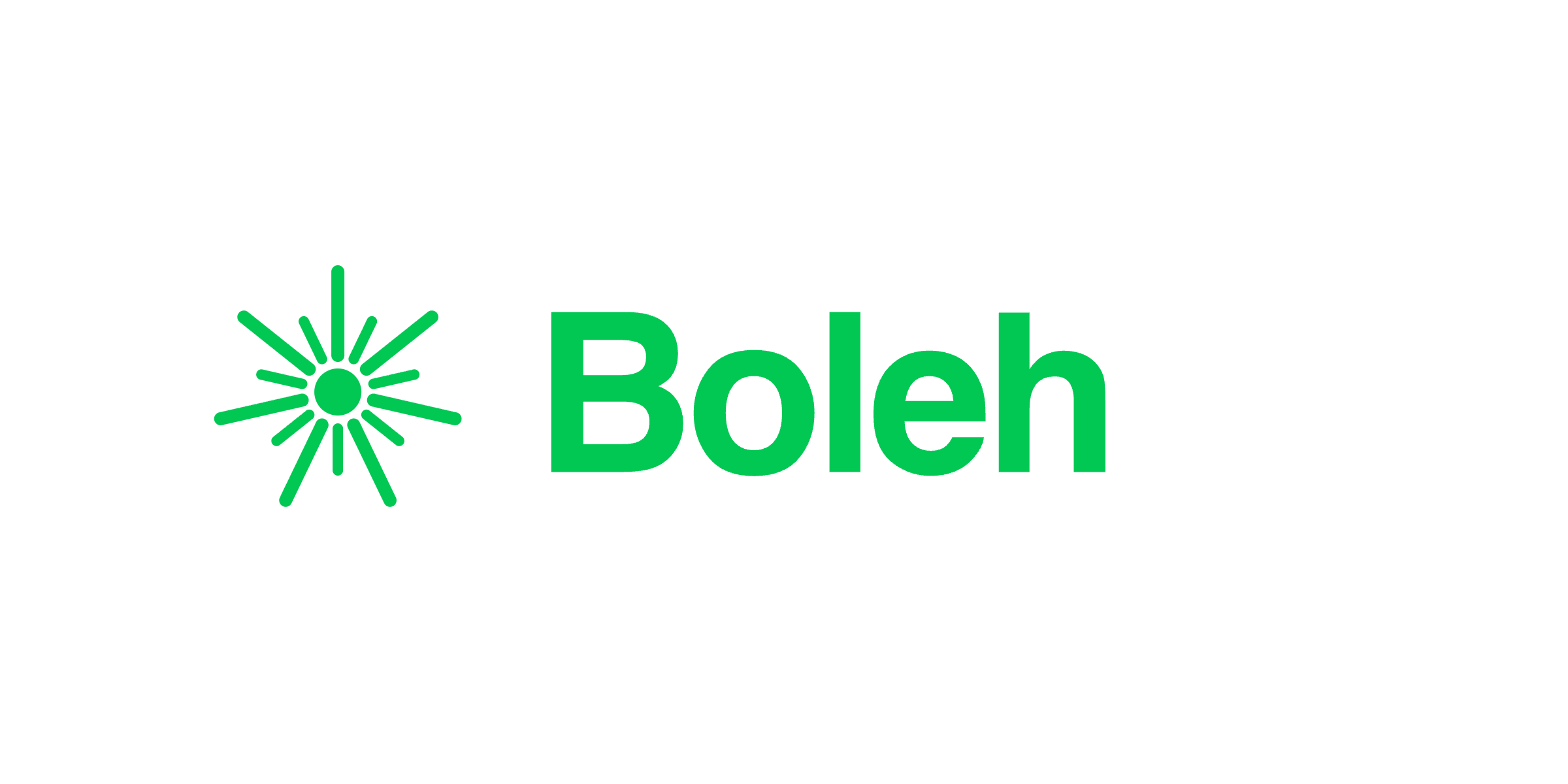 Boleh AI